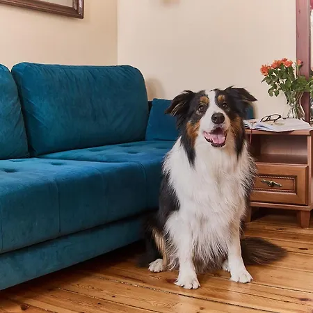 Kamienica Pod Kasztanami 4*